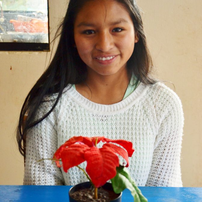 Copy of 7. Ana Rita Taipe Domínguez